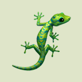 Lizard